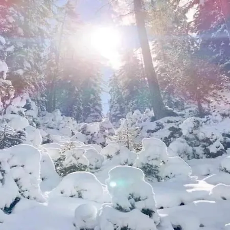 In Neustift Near Stubai Glacier Apartmán *