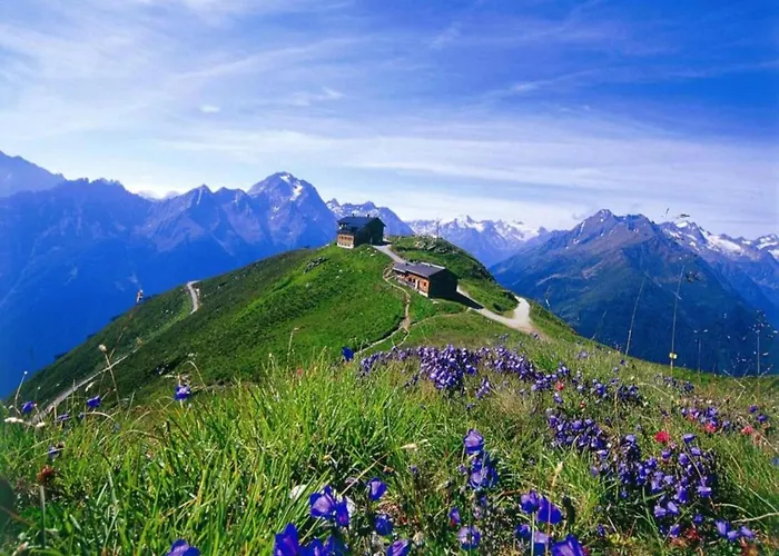 In Neustift Near Stubai Glacier 公寓 施图拜河谷新施蒂夫特