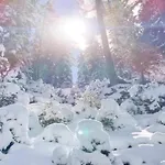 In Neustift Near Stubai Glacier דירה *